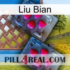 Liu Bian 14